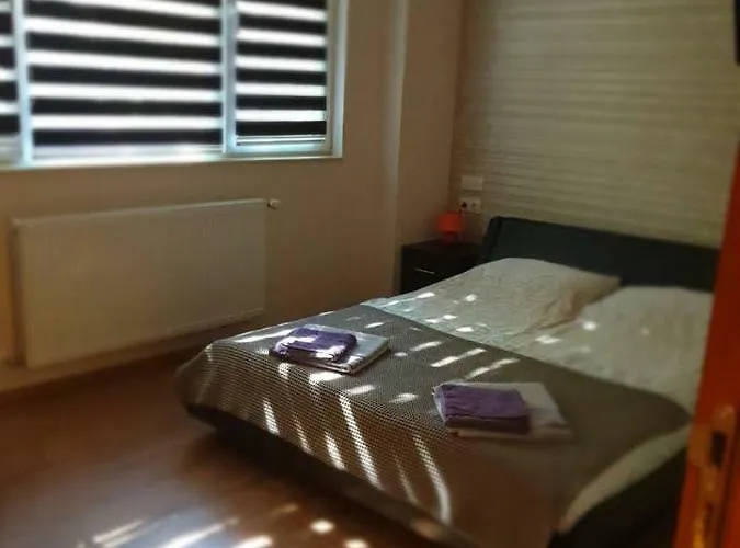 Luxury 2 Bedroom,2 Bathroom ,free Parking