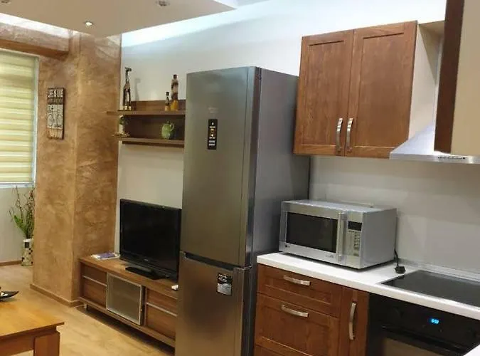 Luxury 2 Bedroom,2 Bathroom ,free Parking * 普罗夫迪夫